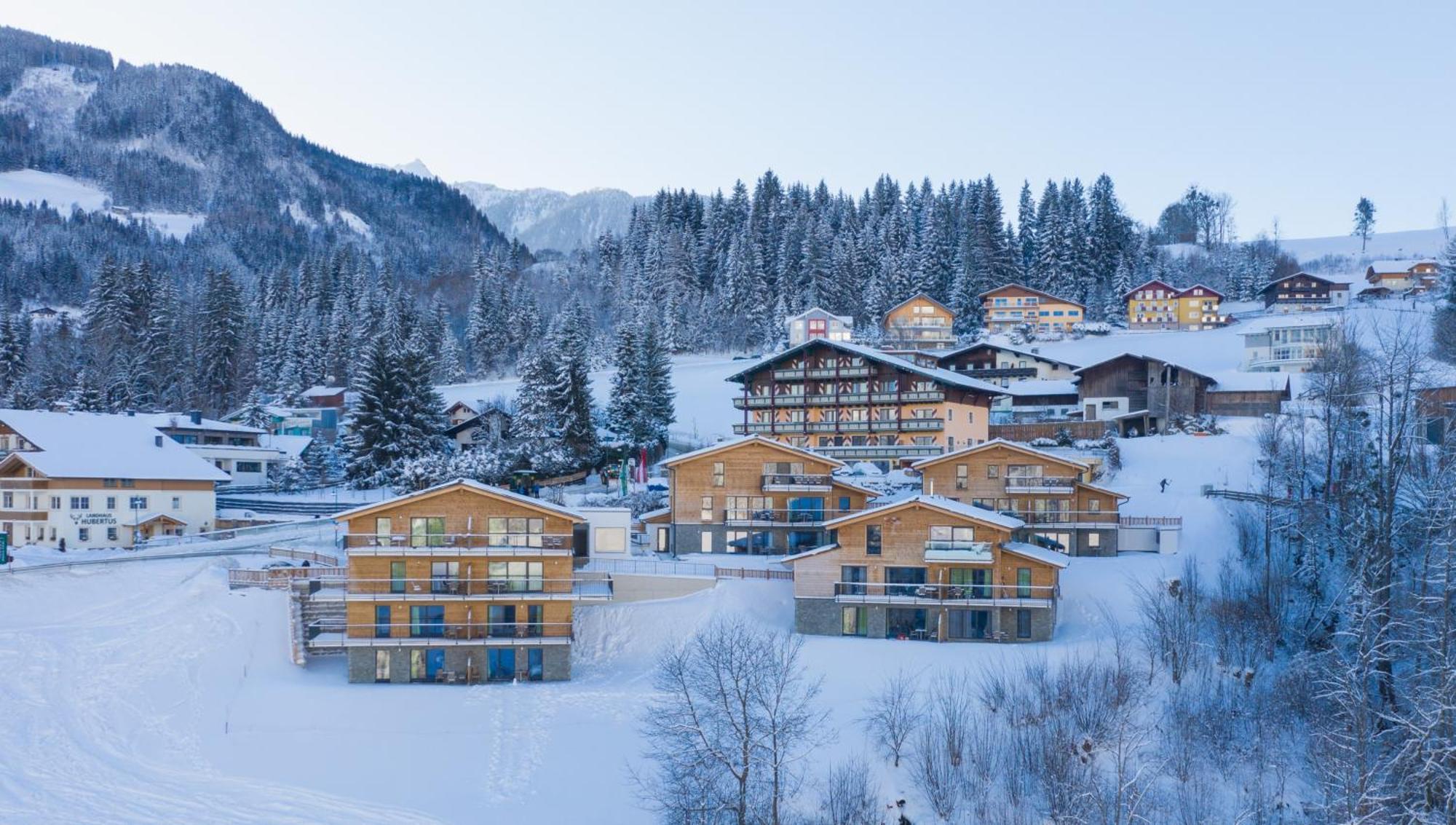 Panorama Premium Apartmán Schladming