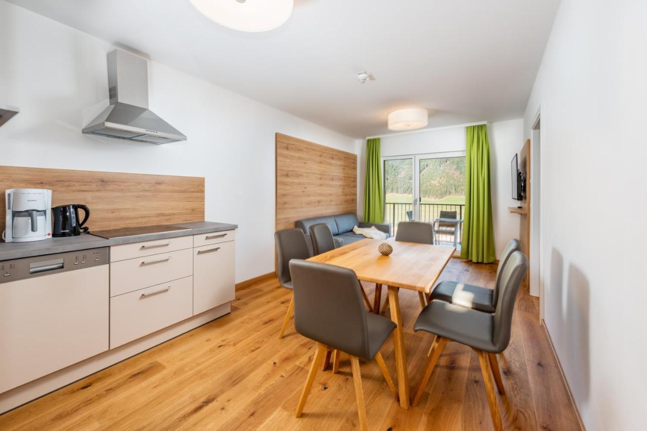 Panorama Premium Apartmán Schladming